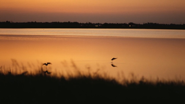 Video Reference N1: sky, water, sunset, sunrise, marsh, morning, calm, wetland, evening, atmosphere