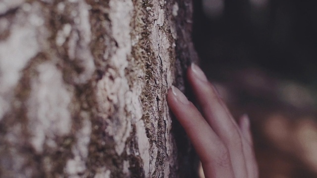 Video Reference N1: Hair, Tree, Trunk, Brown, Woody plant, Close-up, Branch, Hand, Wood, Plant