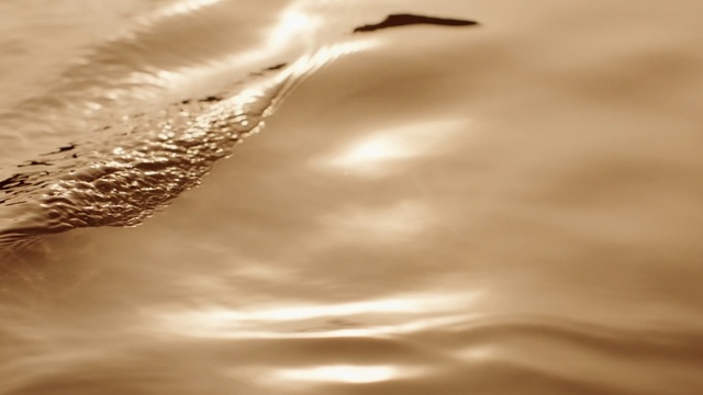 Video Reference N1: Water, Sky, Cloud, Liquid, Close-up, Atmosphere, Reflection, Sunlight, Photography, Macro photography
