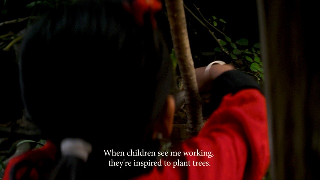 Video Reference N2: red, darkness, tree, night, plant, midnight, performance art
