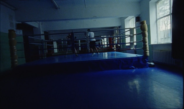 Video Reference N2: Sport venue, Blue, Boxing ring, Light, Room, Architecture, Boxing equipment, Daylighting, Flooring, Floor, Person
