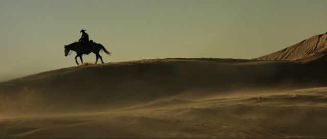 Video Reference N1: sky, sand, morning, horse like mammal, landscape, ecoregion, desert, cloud, horse, aeolian landform