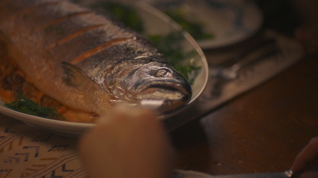 Video Reference N1: Fish, Fish, Fish products, Oily fish, Seafood, Water, Food, Sardine, Herring, Trout