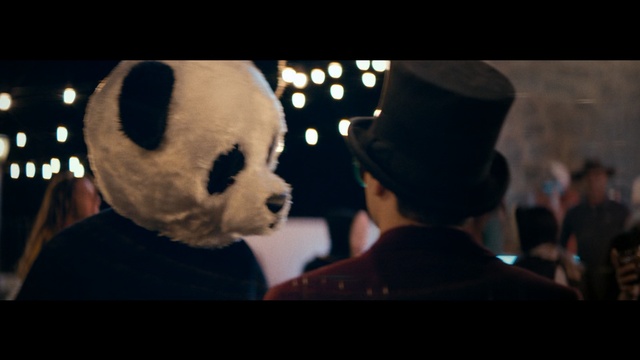 Video Reference N1: Panda, Bear, Snout, Teddy bear, Photography, Fur
