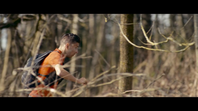 Video Reference N1: tree, plant, grass, forest, wildlife, grass family, branch, screenshot, Person