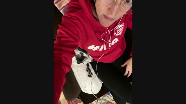 Video Reference N1: Boston terrier, Pink, Cool, T-shirt, Canidae, Carmine, Non-Sporting Group, Child, Top, Dog breed