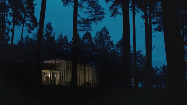 Video Reference N0: Sky, Tree, Blue, Darkness, Night, Natural environment, Light, Atmospheric phenomenon, Forest, House