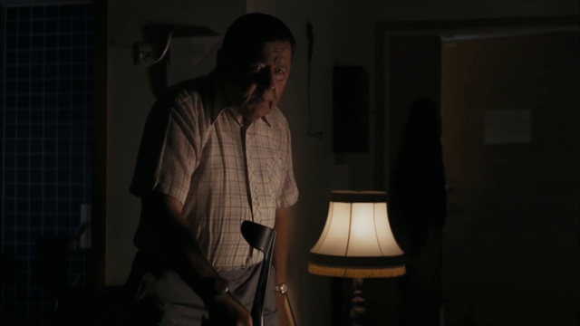 Video Reference N1: Facial hair, Lampshade, Lamp, Lighting, Lighting accessory, Darkness, Room, Photography, Light fixture