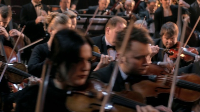 Video Reference N2: Orchestra, Music, Musician, Violinist, Classical music, Violist, Concertmaster, Musical ensemble, Viola, Fiddle