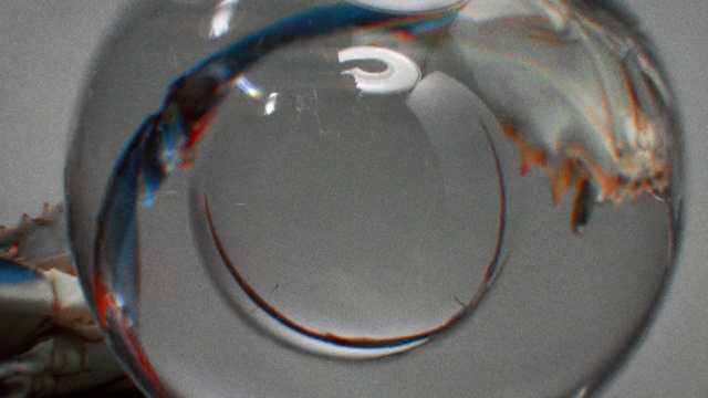 Video Reference N4: tableware, dishware, circle, glass