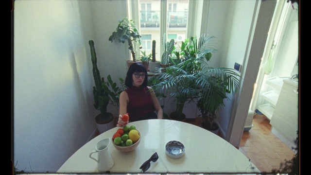 Video Reference N4: Room, Houseplant, Plant, À la carte food, Dish, Interior design, Breakfast, Food, House, Herb