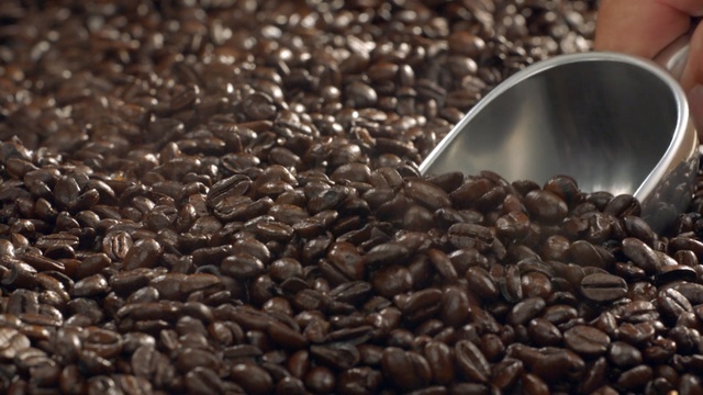 Video Reference N4: caffeine, jamaican blue mountain coffee, coffee, instant coffee, cup, cocoa bean, bean