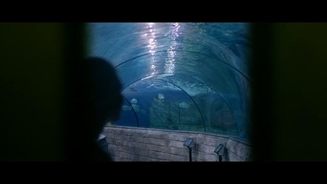 Video Reference N2: blue, green, underwater, water, light, darkness, atmosphere, marine biology, organism, screenshot