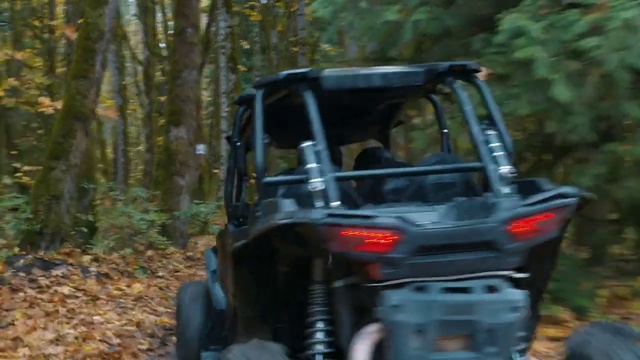 Video Reference N1: Land vehicle, Vehicle, All-terrain vehicle, Off-roading, Off-road vehicle, Car, Automotive tire, Forest, Trail, Woodland