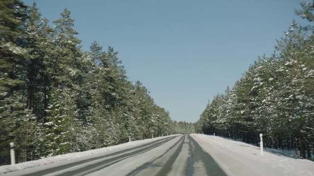 Video Reference N3: Snow, Road, Tree, Winter, Highway, Freezing, Thoroughfare, Lane, Natural landscape, Road surface