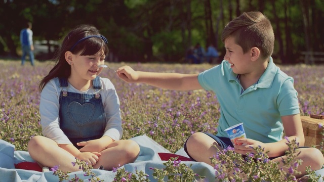 Video Reference N4: flower, child, girl, plant, picnic, sitting, fun, recreation, summer, grass
