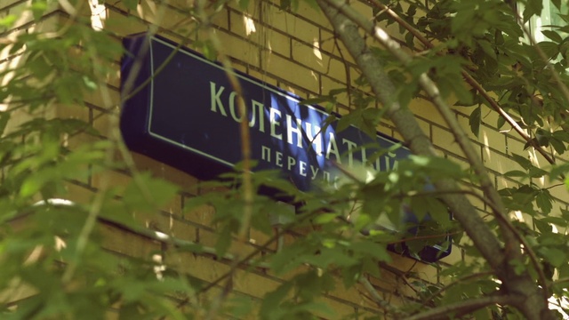Video Reference N2: Vegetation, Nature reserve, Green, Signage, Street sign, Tree, Branch, Leaf, Sign, Jungle