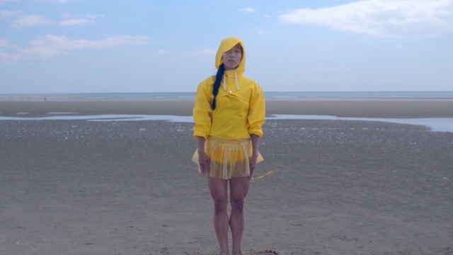 Video Reference N4: yellow, sea, beach, vacation, water, sand, ocean, fun, sky, summer