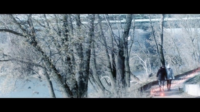 Video Reference N0: Nature, Tree, Natural environment, Forest, Winter, Woodland, Wilderness, Woody plant, Snow, Plant