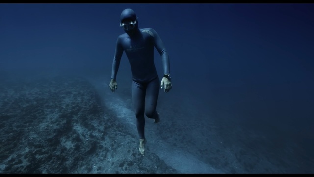 Video Reference N22: underwater diving, water, freediving, underwater, atmosphere, sky, screenshot, diving, organism, sea