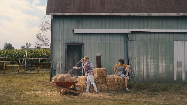 Video Reference N0: Hay, Wheelbarrow, Straw, Cart, Rural area, Grass, Farm, Bovine, Pasture, Shed