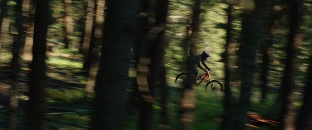 Video Reference N4: Nature, Downhill mountain biking, Freeride, Forest, Bicycle, Mountain biking, Woodland, Tree, Natural environment, Mountain bike