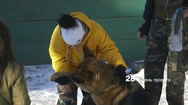 Video Reference N15: Mammal, Dog, Canidae, Carnivore, Dog breed, Police dog, Guard dog, Working dog