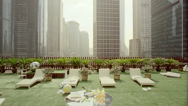 Video Reference N3: grass, plant, urban design, tree, roof, outdoor structure, city, condominium, lawn, landscaping