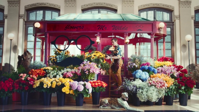 Video Reference N1: Floristry, Floral design, Flower Arranging, Flower, Building, Plant, Window, Retail, Architecture, Facade