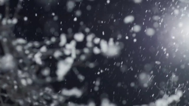 Video Reference N0: black and white, water, atmosphere, monochrome photography, freezing, rain, photography, monochrome, macro photography, sky