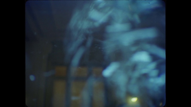 Video Reference N5: Blue, Black, Darkness, Photograph, Light, Atmosphere, Sky, Organism, Snapshot, Lighting