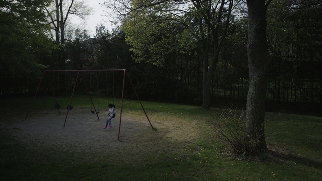 Video Reference N1: Grass, Tree, Net, Land lot, Goal, Woodland, Sport venue, Park, Lawn, Landscape