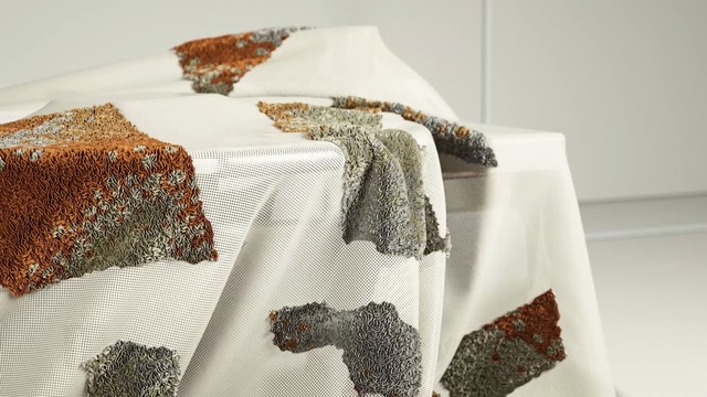 Video Reference N0: tablecloth, textile, linens, material