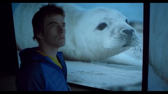 Video Reference N1: Mammal, Seal, Marine mammal, Harbor seal, Nose, Snout, Adaptation, Mouth, Whiskers, Earless seal