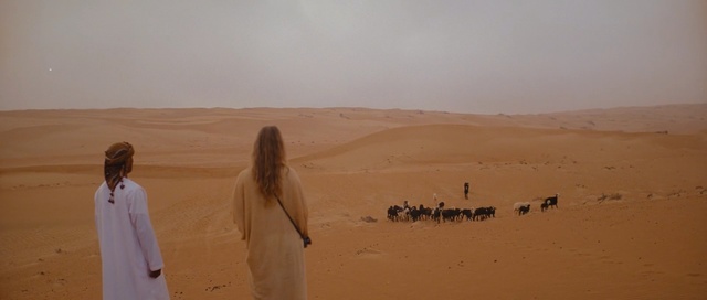Video Reference N5: Desert, Sand, Natural environment, Sahara, Aeolian landform, Erg, Dune, Ecoregion, Landscape, Singing sand, Outdoor, Nature, Man, Beach, Standing, Water, Walking, Holding, Field, People, Flying, Kite, Horse, Woman, Large, White, Group, Young, Sheep, Sky, Camel, Blowout, Arabian camel, Person, Makhtesh, Camelid, Sand dune, Shore