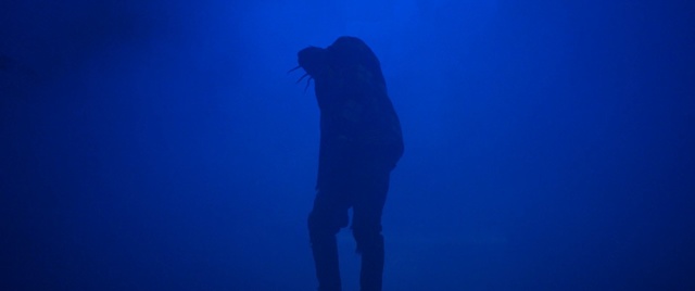 Video Reference N1: blue, sky, underwater, silhouette, electric blue, computer wallpaper, freediving, darkness, diving, recreation