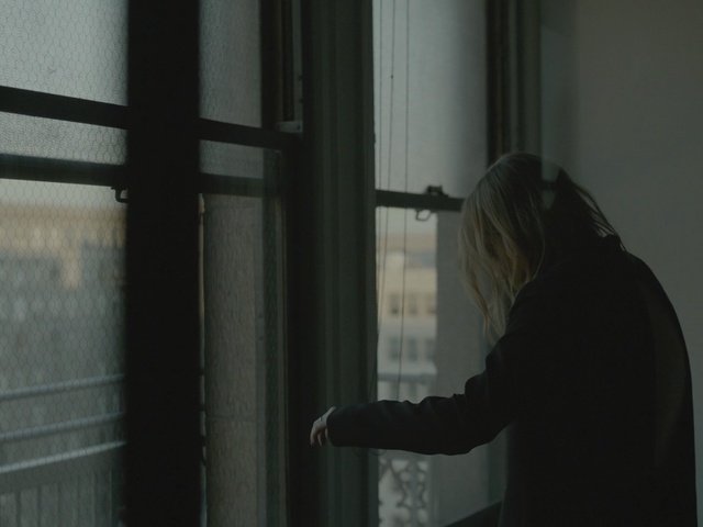 Video Reference N2: window, light, darkness, glass, girl, door, angle, house, Person