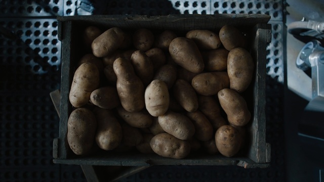Video Reference N4: Potato, Root vegetable, Solanum, Food, Russet burbank potato, Vegetable, Tuber, Ullucus, Plant, Produce, Person