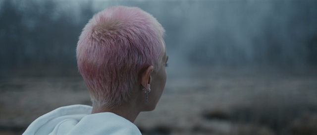 Video Reference N0: Hair, Hairstyle, Head, Blond, Pink, Ear, Forehead, Crop, Bowl cut