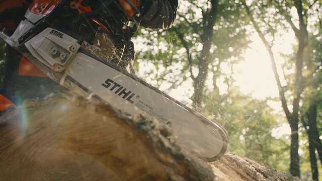 Video Reference N1: Chainsaw, Tree, Woody plant, Trunk, Plant, Photography, Blade, Wood, Machete, Mountain bike