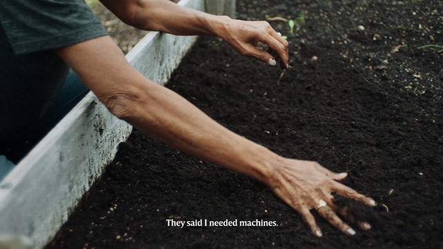Video Reference N1: Soil, Hand, Finger, Sowing, Compost, Plant