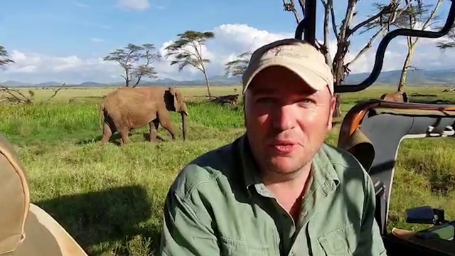 Video Reference N5: Wildlife, Safari, Elephant, Elephants and Mammoths, Savanna, Pasture, Terrestrial animal, Adaptation, Adventure, African elephant