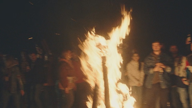 Video Reference N0: Fire, Heat, Bonfire, Flame, Campfire, Event, Night, Crowd, Person