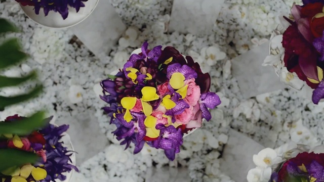 Video Reference N2: flower, flowering plant, purple, violet, flora, plant, spring, floristry, flower arranging, petal