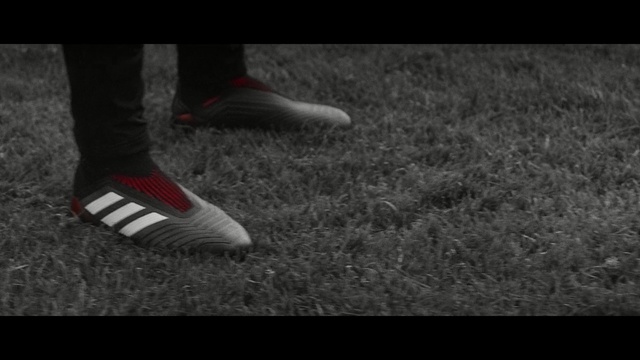 Video Reference N1: footwear, red, white, photograph, black, shoe, black and white, grass, photography, monochrome photography
