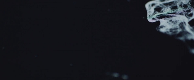Video Reference N2: black, darkness, atmosphere, night, organism, macro photography, midnight, computer wallpaper, space
