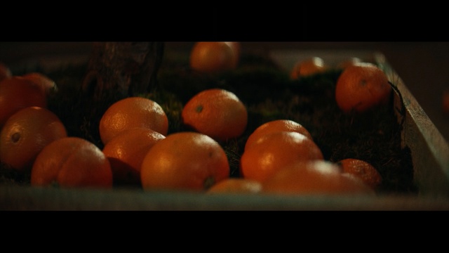 Video Reference N1: Still life photography, Still life, Fruit, Orange, Clementine, Food, Vegetarian food, Orange, Local food, Plant