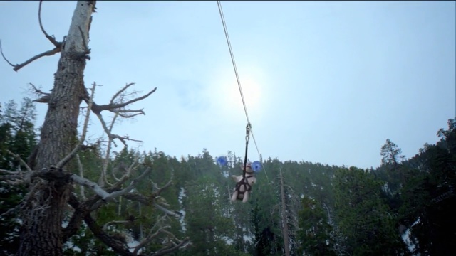 Video Reference N2: tree, sky, adventure, bungee jumping, jumping, forest, bungee cord, recreation, biome, hill station