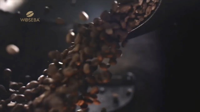 Video Reference N2: Brown, Macro photography, Organism, Photography, Recipe, Food, Bean