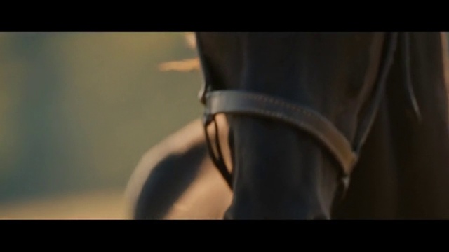 Video Reference N5: Leather, Footwear, High heels, Bridle, Shoe, Textile, Eyewear, Close-up, Horse tack, Personal protective equipment
